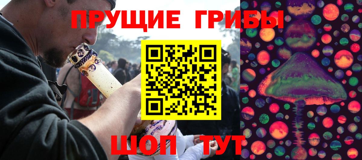 Псилоцибиновые грибы Magic Shrooms  наркота  Вход с VPN  Реутов  Псилоцибиновые грибы GOLDEN TEACHER 