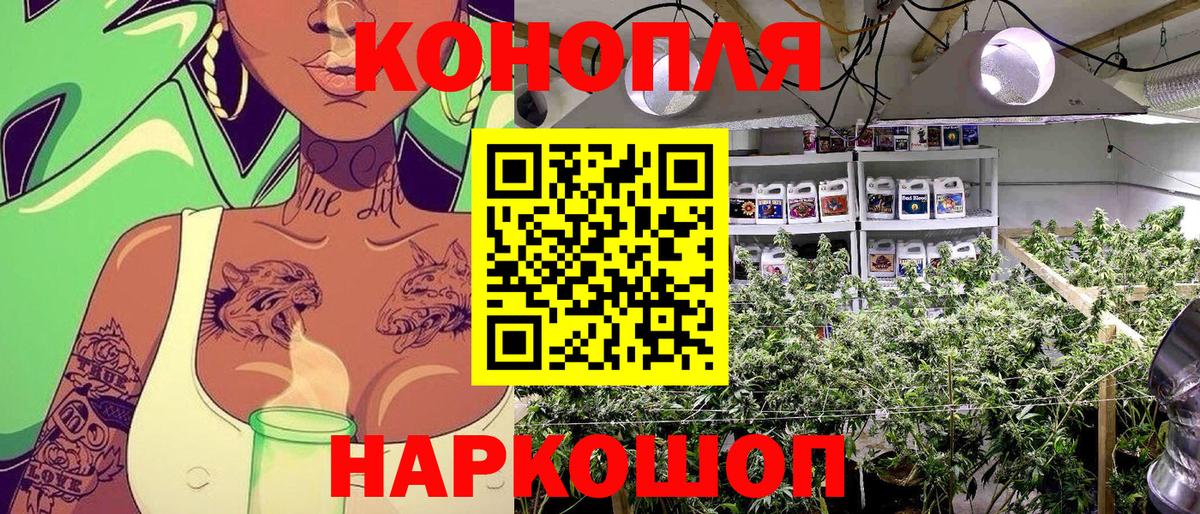 МАРИХУАНА White Widow  Вход с VPN  Бошки марихуана тримм  Реутов 